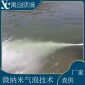 小型微纳米气泡水产增氧机 微纳米气泡曝气设备 禹创环境科技